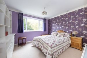 Photo 4- click for photo gallery